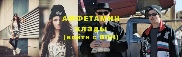 индика Белокуриха