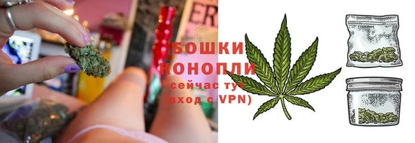 индика Белокуриха