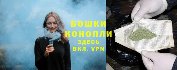 индика Белокуриха