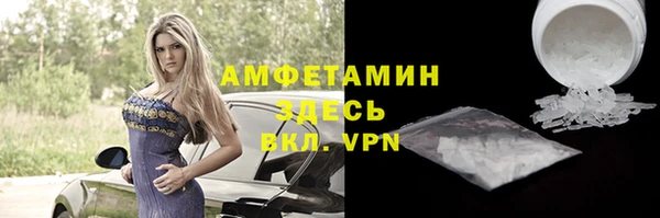 индика Белокуриха