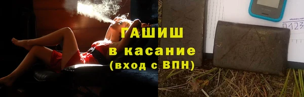 индика Белокуриха