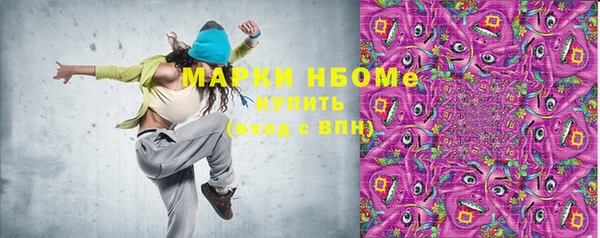 индика Белокуриха