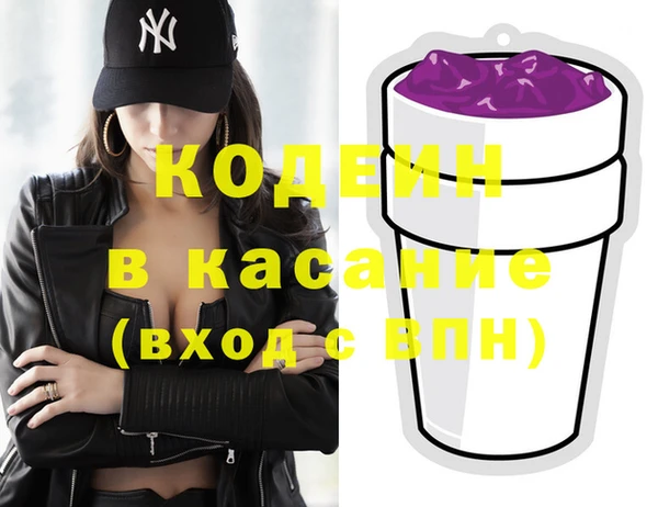 индика Белокуриха