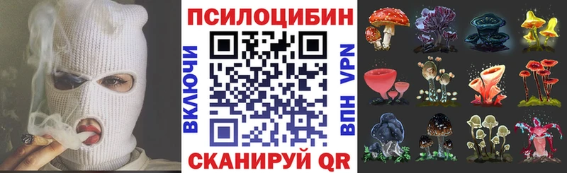 Псилоцибиновые грибы мицелий  закладка  Заинск 